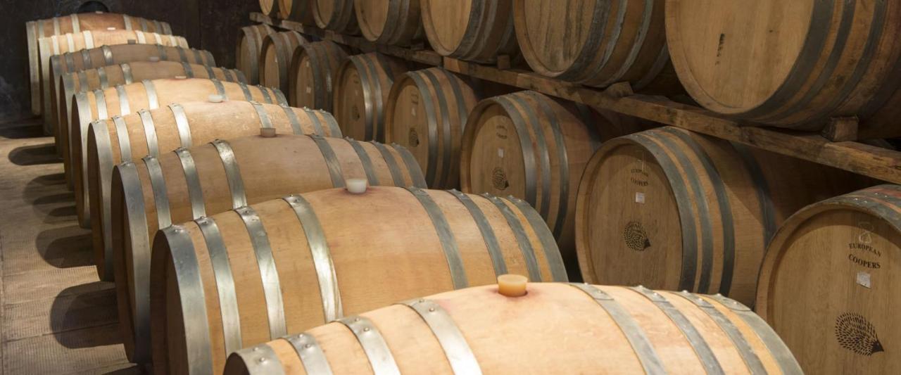 Fattoria Di Rignana Winery Bnb Greve in Chianti Εξωτερικό φωτογραφία