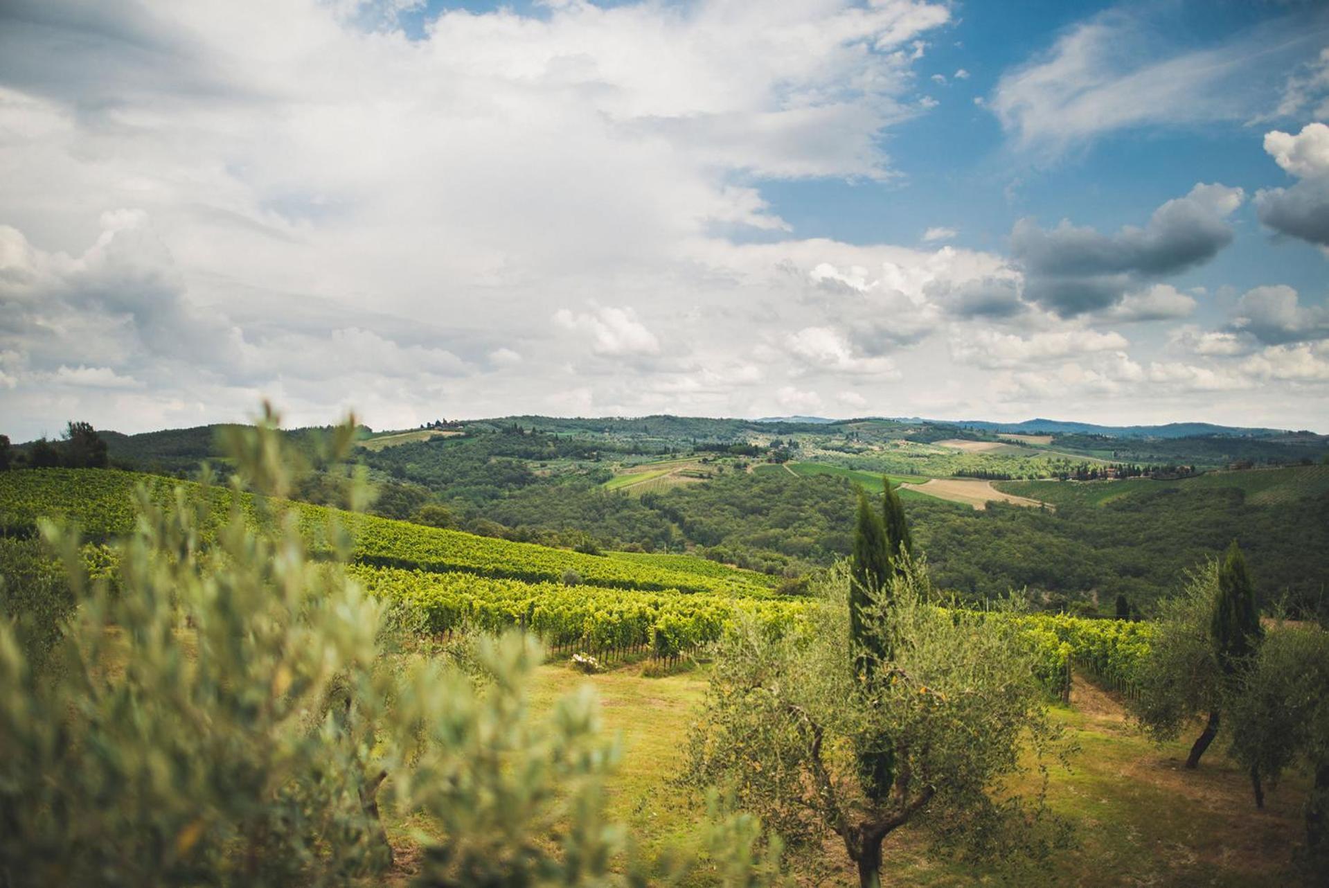 Fattoria Di Rignana Winery Bnb Greve in Chianti Εξωτερικό φωτογραφία