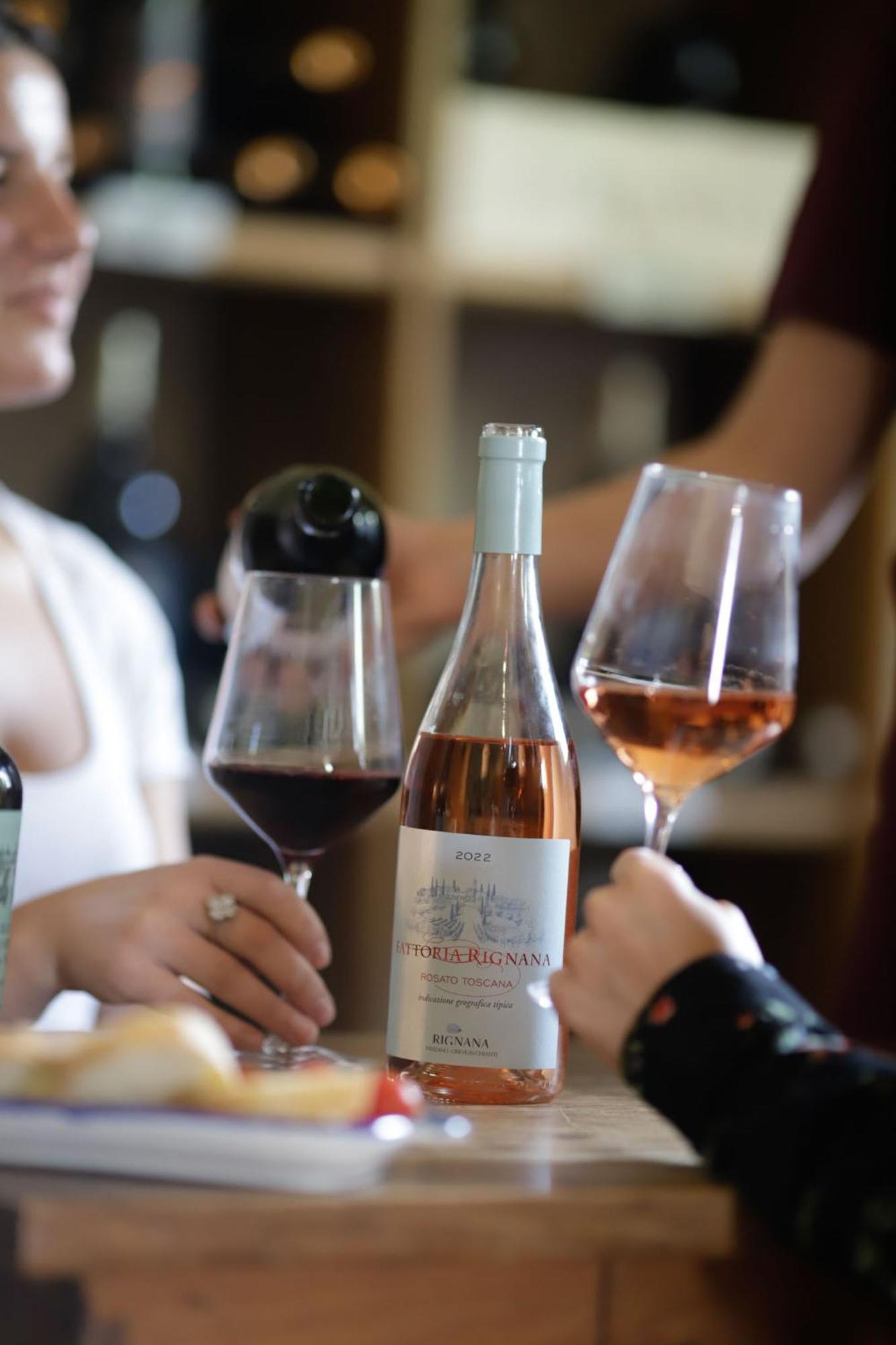 Fattoria Di Rignana Winery Bnb Greve in Chianti Εξωτερικό φωτογραφία