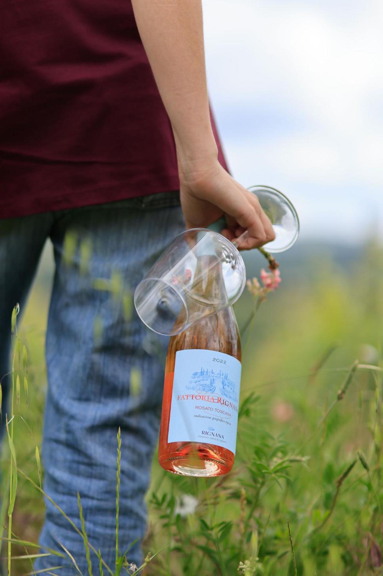 Fattoria Di Rignana Winery Bnb Greve in Chianti Εξωτερικό φωτογραφία